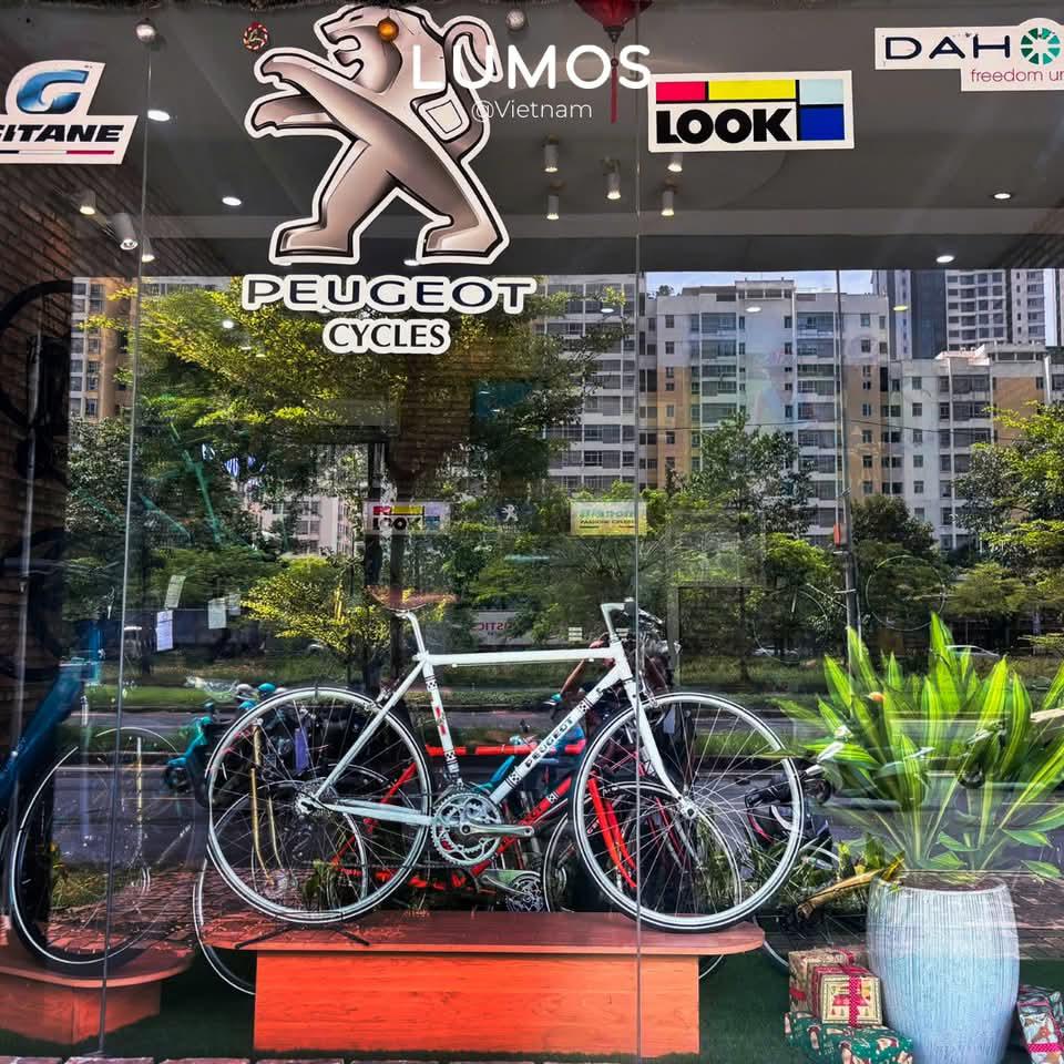 Mũ bảo hiểm Lumos Tại Xe đạp Châu Âu